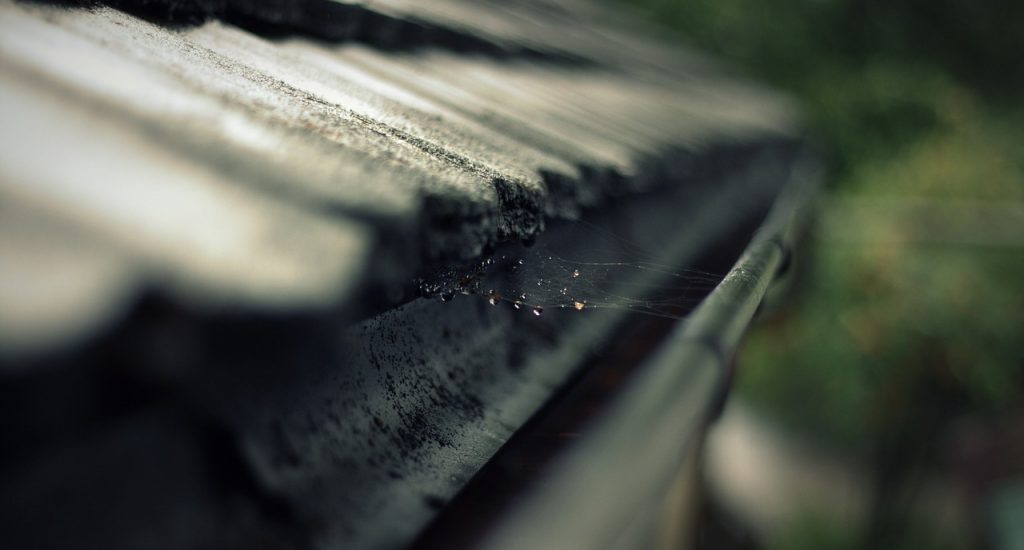 rain-gutter-cleaning